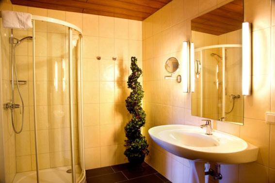 בקסבאך Hotel Haus Krone מראה חיצוני תמונה